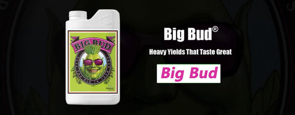 How to use the Advanced Nutrients Big Bud