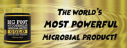 Mycorrhizal Fungi + Explosive Bacillus Package for Massive Plants Roots and Yields- Big Foot Gold - #1 Hydro Mycorrhizal Product - Rooting Powder, Wettable Powder, add Like a Fertilizer (4 oz)
