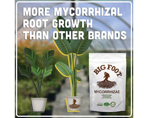 Big Foot Mycorrhizae Granular | Organic Root Enhancing Formula | Worm Castings, Humic Acid, Biochar, Trace Minerals, Kelp (10 lb)