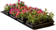 Seedling Heat Mat Commercial 60x21" 140W - HydroWorlds