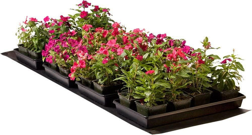 Seedling Heat Mat Commercial 60x21" 140W - HydroWorlds