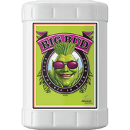 Advanced Nutrients Big Bud - HydroWorlds