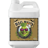 Advanced Nutrients Big Bud Coco-500mL - HydroWorlds