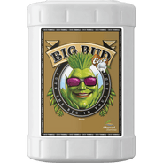 Advanced Nutrients Big Bud Coco - HydroWorlds