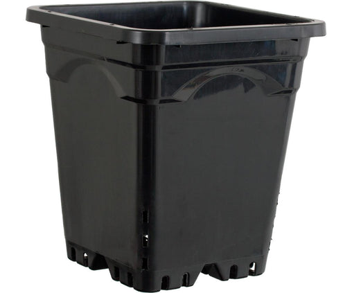 Square Black Pot - HydroWorlds
