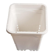 Active Aqua Sq Pot White - HydroWorlds