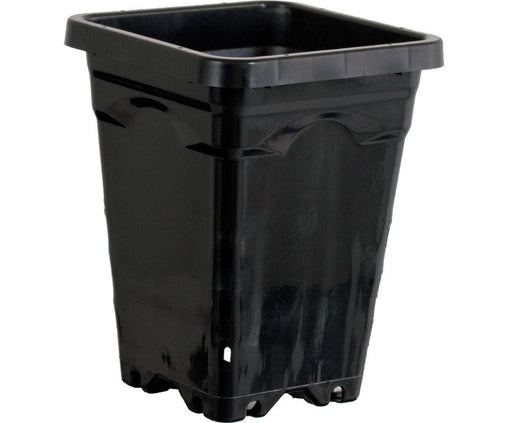 Square Black Pot - HydroWorlds
