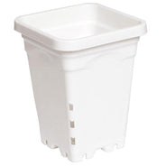 Active Aqua Sq Pot White - HydroWorlds