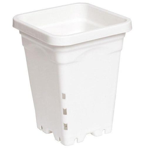 Active Aqua Sq Pot White - HydroWorlds