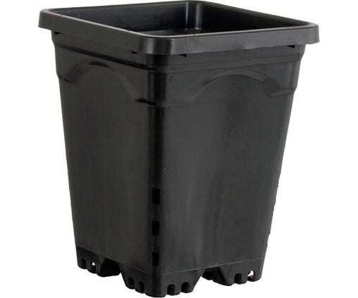 Square Black Pot - HydroWorlds
