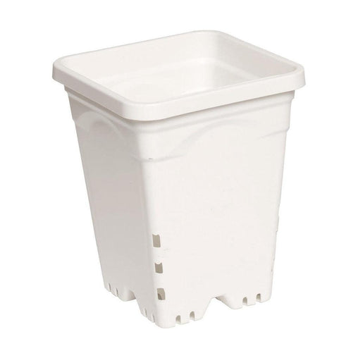Active Aqua Sq Pot White - HydroWorlds