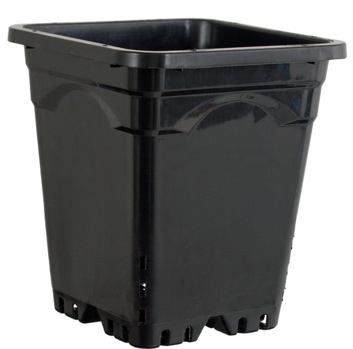 Square Black Pot - HydroWorlds