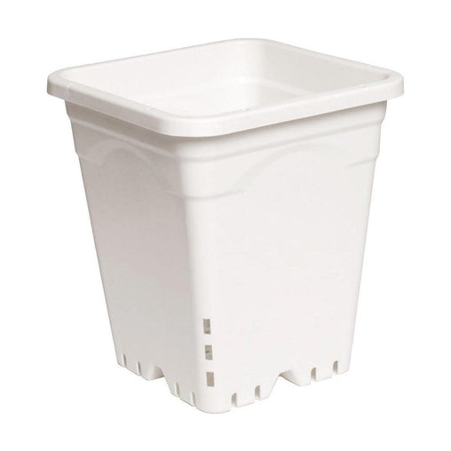 Active Aqua Sq Pot White - HydroWorlds