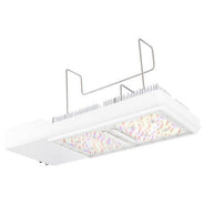 Gavita CT1930e LED 120-277V - HydroWorlds
