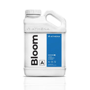 Athena Bloom A - HydroWorlds