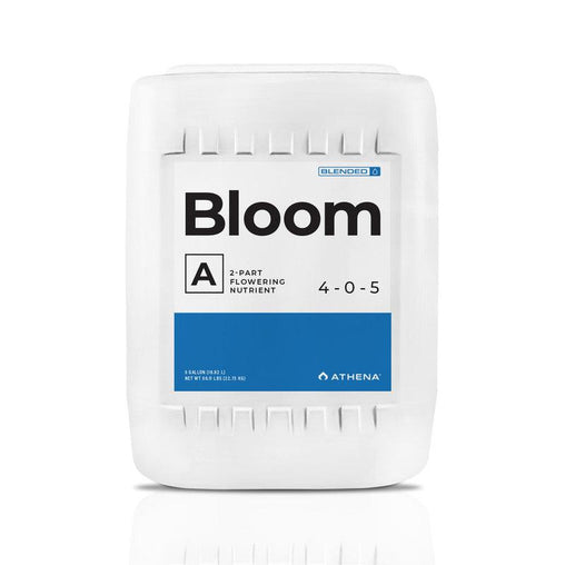 Athena Bloom A - HydroWorlds
